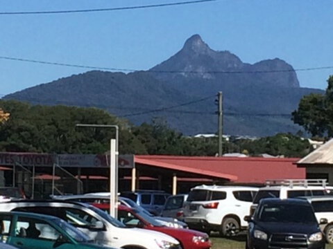 Murwillumbah Farmers' Market - Lennox Head Accommodation 2