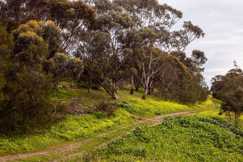 O'Halloran Hill Recreation Park - Lennox Head Accommodation 1