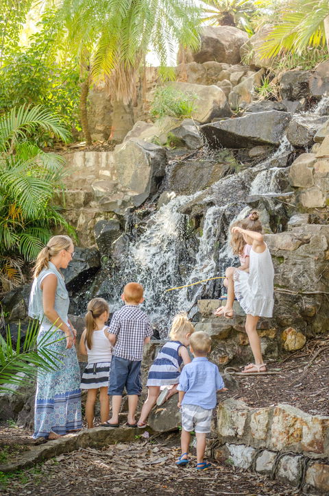 Queens Park Waterfall - Lennox Head Accommodation 0