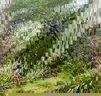 Rosewood loop - Lennox Head Accommodation