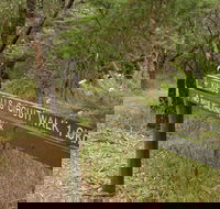 Waterfall Gully - Kings Falls Circuit Walk - Lennox Head Accommodation
