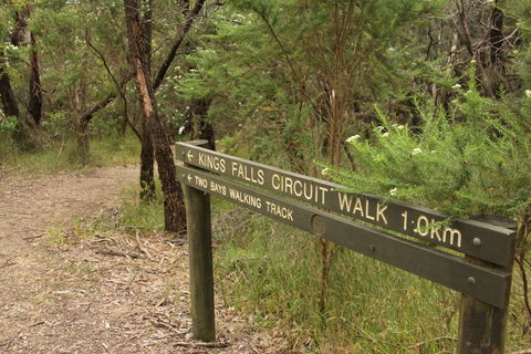 Waterfall Gully - Kings Falls Circuit Walk - Lennox Head Accommodation 0