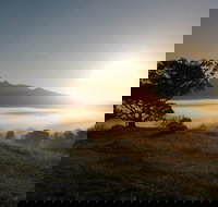 Wollumbin-Mount Warning National Park - Lennox Head Accommodation