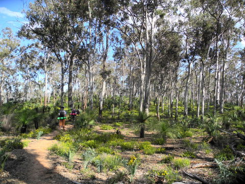 Bibbulmun Track - Lennox Head Accommodation 1