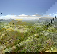 Border Ranges National Park - Lennox Head Accommodation