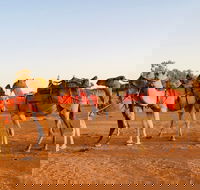 Broken Hill Camels - Lennox Head Accommodation