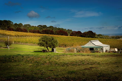 Coast To Vines Rail Trail - Lennox Head Accommodation 2