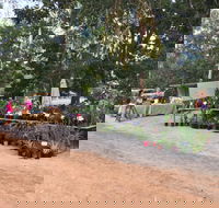 Fred's Pass Rural Market - Lennox Head Accommodation