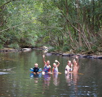 Kerewong State Forest - Lennox Head Accommodation