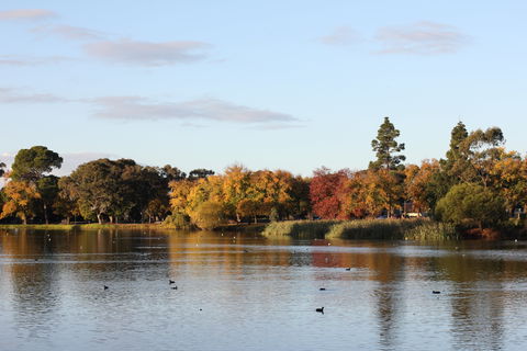 Lake Weeroona - Lennox Head Accommodation 0