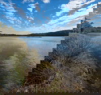 Lake Innes Nature Reserve - Lennox Head Accommodation