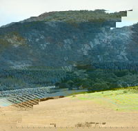 Langi Ghiran State Park - Lennox Head Accommodation