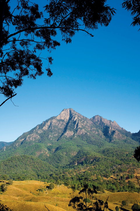 Lower Portals Track, Mount Barney National Park - Lennox Head Accommodation 0
