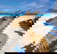 Lucky Bay - Lennox Head Accommodation