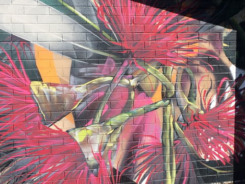 Mokoan Rest Stop Northbound - Lennox Head Accommodation 0