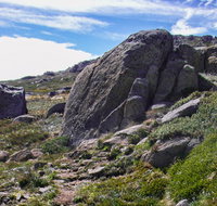 Mount Stillwell walk - Lennox Head Accommodation