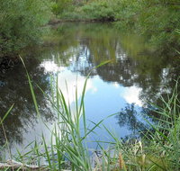 Mullion Range State Conservation Area - Lennox Head Accommodation