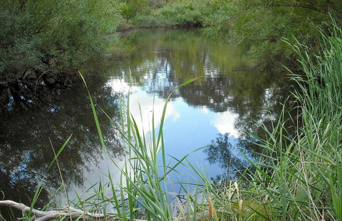 Mullion Range State Conservation Area - Lennox Head Accommodation 0
