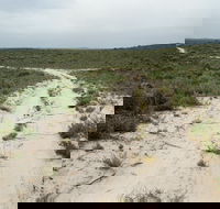 Ngarkat Conservation Park - Lennox Head Accommodation