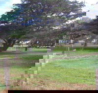 Old Cemetery Kingscote - Lennox Head Accommodation
