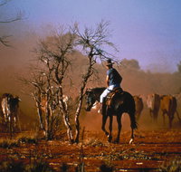Outback Heritage and Coal Adventure - Lennox Head Accommodation