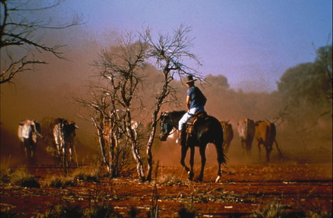 Outback Heritage And Coal Adventure - Lennox Head Accommodation 0