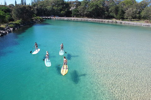 Paddleboard At Back Creek South West Rocks - Lennox Head Accommodation 0