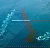 Port Noarlunga Reef Sanctuary Zone - Encounter Marine Park - Lennox Head Accommodation