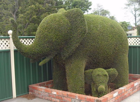 Railton: Town Of Topiary - Lennox Head Accommodation 0