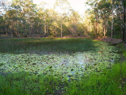 Raysource Road - Lennox Head Accommodation 2