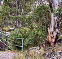 Sawpit Walking Track - Lennox Head Accommodation