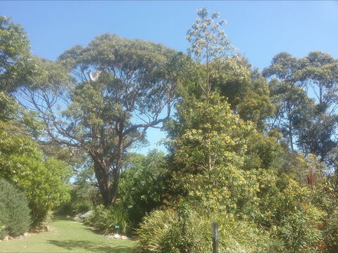 Shoalhaven Heads Native Botanic Garden - Lennox Head Accommodation 1