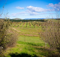 Tarago Truffles - Lennox Head Accommodation