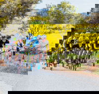 The Heron's Highway - Avon River Cycle Trail - Lennox Head Accommodation