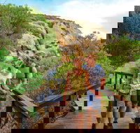 Woody Island Nature Reserve - Lennox Head Accommodation