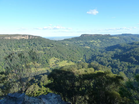 Woodhill - Lennox Head Accommodation 2