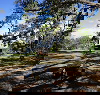 Bowen Mountain Park - Lennox Head Accommodation