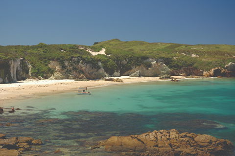 Broughton Island - Lennox Head Accommodation 1