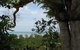 Channel Point Coastal Reserve - thumb 0