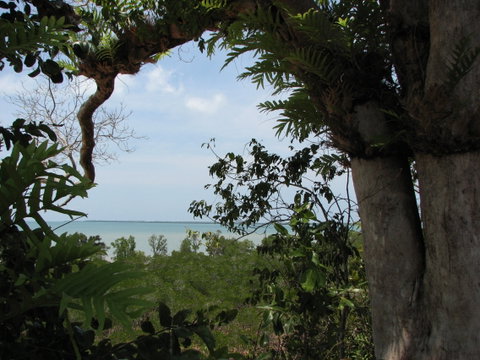 Channel Point Coastal Reserve - Lennox Head Accommodation 0