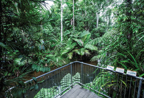 Djiru National Park - Lennox Head Accommodation 1