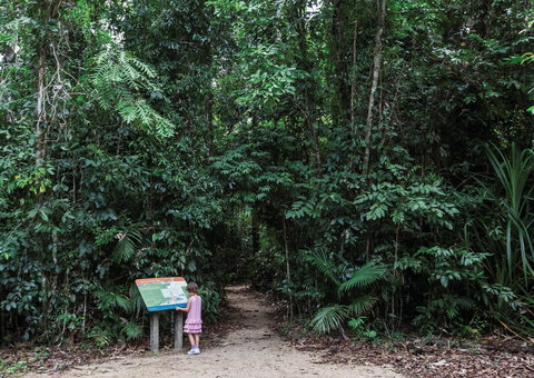 Djiru National Park - Lennox Head Accommodation 2