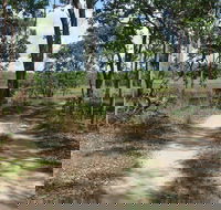 Djukbinj National Park - Lennox Head Accommodation