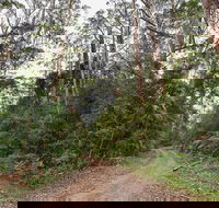 End Peak walking track - Lennox Head Accommodation