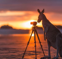 Explore the Mackay Region in Three Days - Lennox Head Accommodation