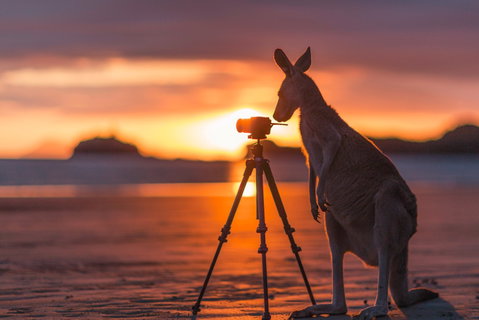 Explore The Mackay Region In Three Days - Lennox Head Accommodation 0