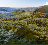 Gold Coast Hinterland Great Walk - Lennox Head Accommodation