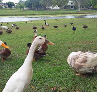 Gooseponds North Mackay - Lennox Head Accommodation