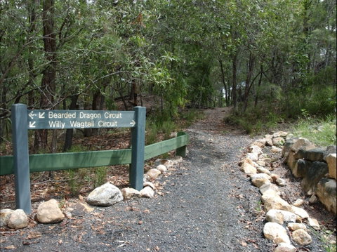 Haig Street Quarry Bushland Reserve Trails - Lennox Head Accommodation 1