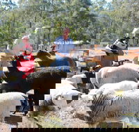Haigslea EWE Nique Hobby Farm - Lennox Head Accommodation